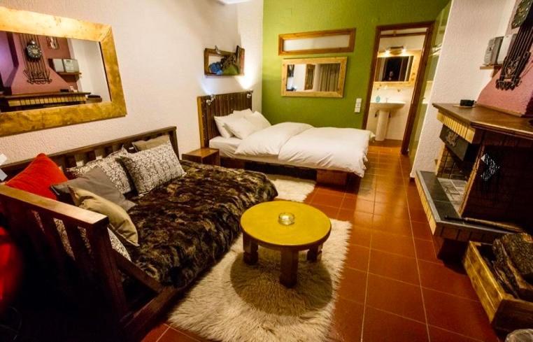 Guesthouse Mylona Arachova Exterior photo